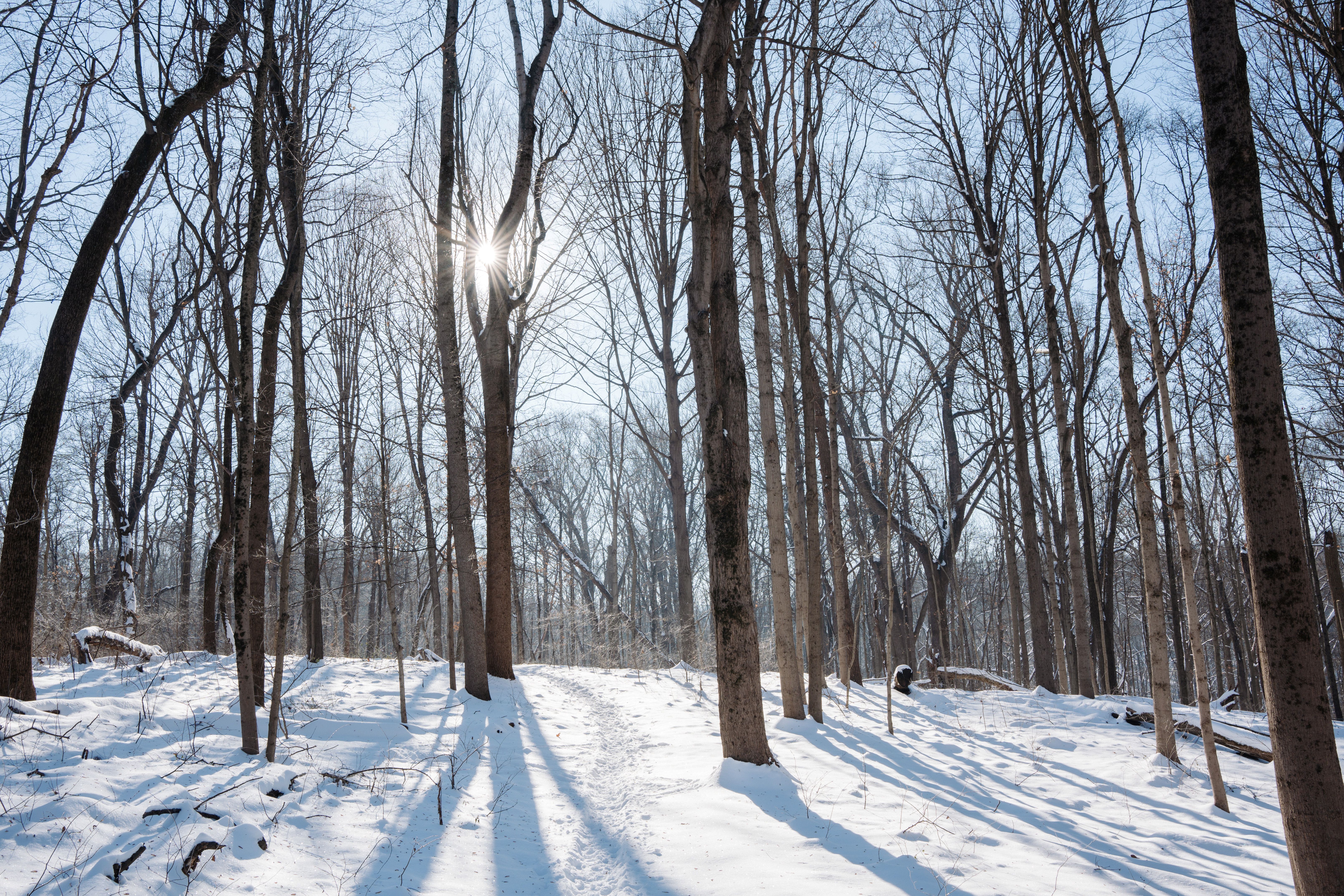 Searching for Signs of Spring image